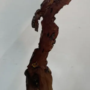 Mesquite Sculpture- "Tall Boy"