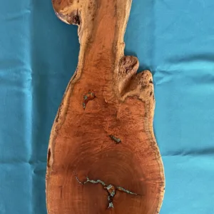 Live Edge Mesquite Burl Charcuterie Board- "Duck" Design